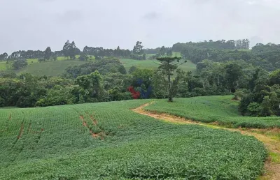 Chácara para venda em contenda de 79000.00m² com 1 quarto