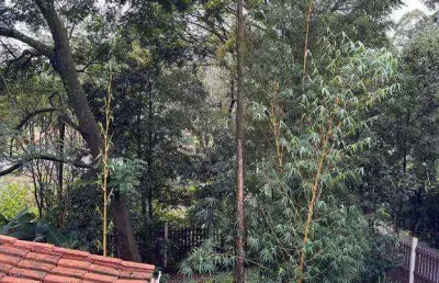 Casa para alugar em quintas do ingaí de 225.00m² com 3 quartos