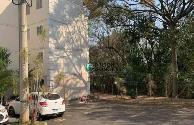Apartamento para venda e aluguel em jardim planalto de 42.00m² com 2 quartos e 1 garagem