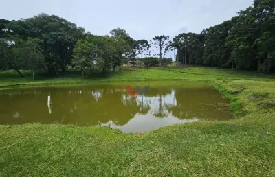 Chácara para venda em área rural de araucária de 254100.00m² com 6 quartos e 2 garagens
