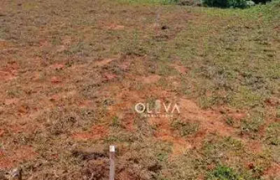 Terreno à venda na Vila Clementina, São José do Rio Preto 
