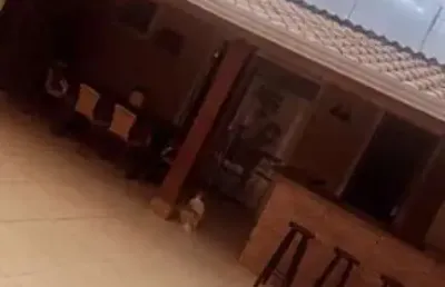 Casa para venda em jardim piratininga de 236.00m² com 5 quartos e 3 garagens