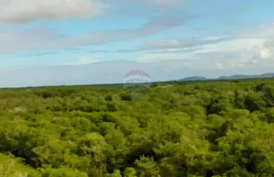 Casa para venda em barra de guaratiba de 325.00m² com 1 quarto e 5 garagens