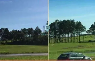 Terreno comercial para alugar na Vila Artura, Sorocaba 