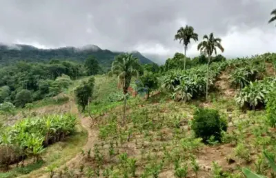 Fazenda / sítio para venda em morretes de 33.00m² com 1 quarto