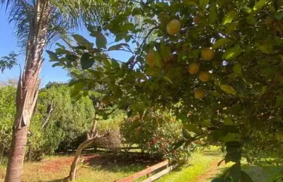 Chácara para venda em bonfim paulista de 5000.00m² com 5 quartos e 1 suite