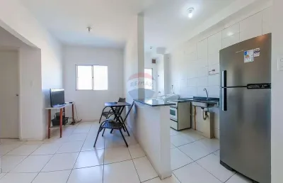 Apartamento para alugar em jardim das palmeiras de 45.00m² com 2 quartos e 1 garagem