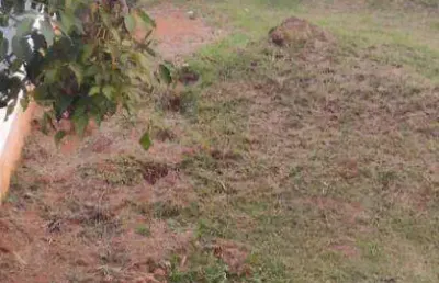 Terreno en condomínio para venda em quintas do ingaí de 250.00m²