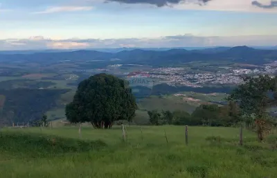 Chácara para venda em albertina de 29000.00m² com 2 quartos e 10 garagens