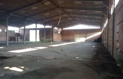 Galpão / depósito / armazém para venda em boqueirão de 6000.00m²