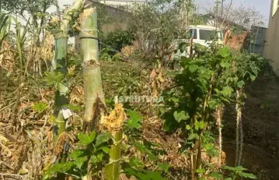 Lote / terreno para venda em vila elizabeth (bnh) de 338.00m²