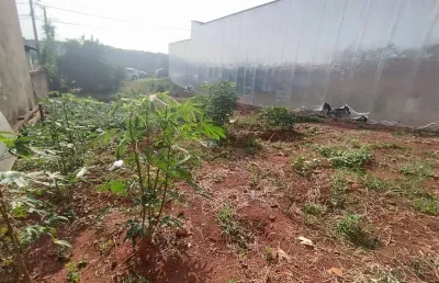Terreno à venda no Jardim Ypê, Botucatu 