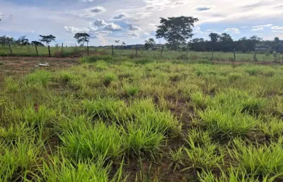 Terreno à venda no Setcity, São José do Rio Preto 