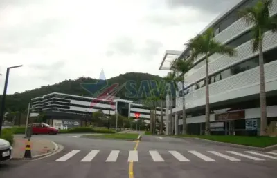Sala comercial à venda na Rodovia José Carlos Daux, Saco Grande, Florianópolis