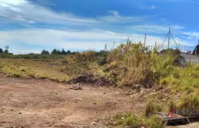 Terreno em condomínio fechado à venda na Rua Petúnia, Tanque, Atibaia