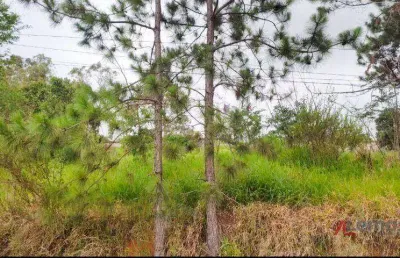 Terreno à venda, no bairro chácaras fernão dias - atibaia/sp - te1874