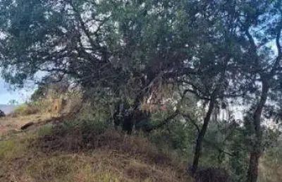 Terreno à venda, 1372m² no estância san remo - atibaia/sp
