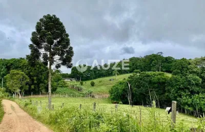 Chácara à venda 3 alqueires e 907,50 m² areia branca dos assis, mandirituba, pr