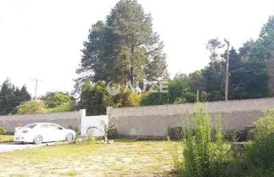 Excelente chacara - terrenos no botiatuba em almirante tamandare