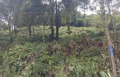 Aceita financiamento terreno zr-1 a venda à 150 metros da r. antônio johnson