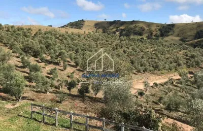 Sítio à venda, estrada do pinhal novo em lorena, com uma área de 19,7 hectares.