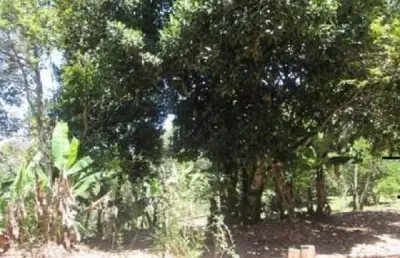 Chácara / sítio com 5 quartos à venda no Serrinha, Bragança Paulista 