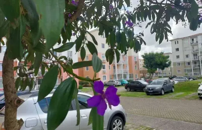 Apartamento com 2 quartos à venda na rua abel scuissiato, 2829, atuba, colombo, 52 m2 por r$ 272.800