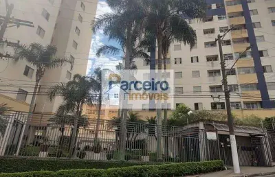 Apartamento a venda, 03 quartos, jardim  textil, são paulo, sp