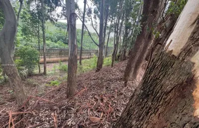 Terreno à venda na Avenida Tamboré, 100, Tamboré, Barueri