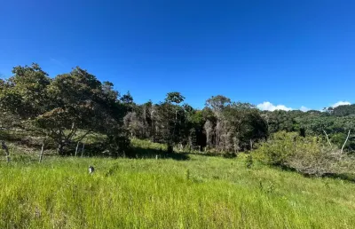 Sítio 38.000 m2 com casa. terreno fértil e nascente de água!