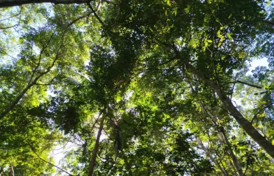 Vende-se terreno com escritura em imbassaí – 3.000 m²!