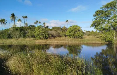 Vende-se área exclusiva de 14.000 m² em diogo – vista mar e acesso a  rio!