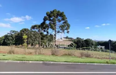 Terreno à venda na Rua João Bernardi Filho, Cadorin, Pato Branco