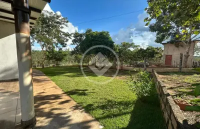 Belissima chacara a somente 4km de chapada com 3,5 hectares com casa principal e casa de caseiro, 2 rios que cortam a propriedade e pasto para gado codigo: 106963