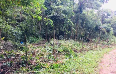 Terreno à venda, 15628 m² por r$ 250.000,00 - itaipava - petrópolis/rj