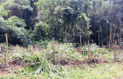 Terreno à venda, 15950 m² por r$ 250.000,00 - itaipava - petrópolis/rj