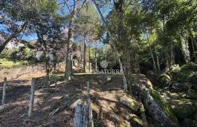 Terreno com 3.151, 25 m², projeto aprovado para condomínio, à venda, por r$ 240.000 - parque do ingá - teresópolis/rj