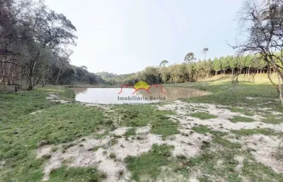 Terreno à venda no Bateias de Baixo, Campo Alegre 