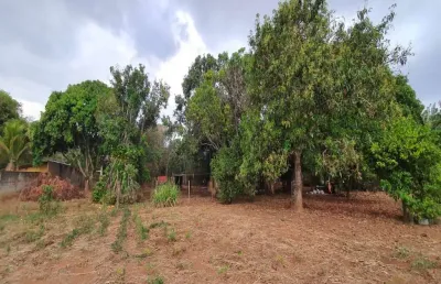 Chácaras em uberlândia - mg com 10.000 m² no bairro parque das américas;