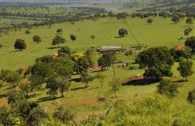 Fazenda de 388 alqueires em tupaciguara-mg: aproximadamente 950 hectares em cana e estrutura completa para pecuária nas margens da represa de furnas!