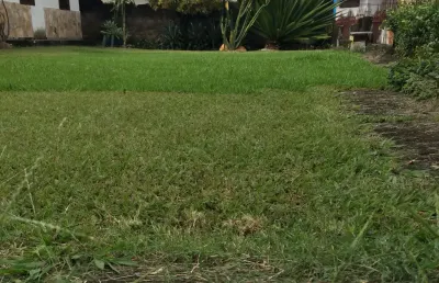 Casa com 5 quartos à venda na Cidade Nobre, Ipatinga 
