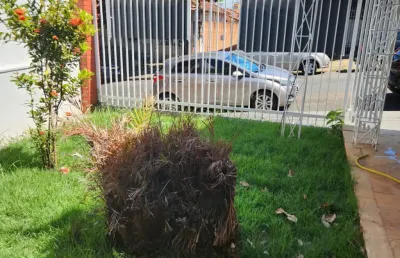 Casa térrea no bairro alto, com 185 m2 de área útil