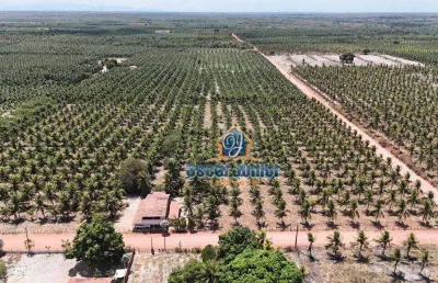Belíssimo terreno à venda, 40.000 m² por r$ 630.000 - lagoinha 2ª estapa - paraipaba/ce