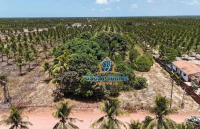 Terreno à venda, 10,000 m² por r$ 170.000 - lagoinha - paraipaba/ce