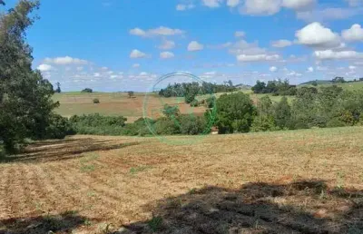 Chácara / sítio com 4 quartos à venda na Zona Rural, Ibiporã 