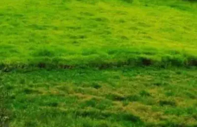 Terreno industrial para venda em arujá, parque dos jacarandás