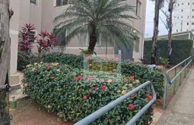 Apartamento com 2 dormitórios cond. padovani em paulínia