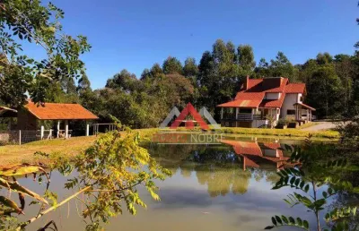 Sítio à venda, 110000 m² por r$ 2.250.000,00 - vila germania - nova petrópolis/rs