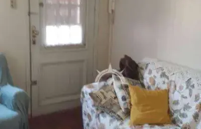Apartamento com 2 dormitórios, 50 m² - venda por r$ 207.000,00 ou aluguel por r$ 2.012,00/mês - passo d'areia - porto alegre/rs