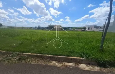 Terreno à venda na Rua Armando Guelpa, Fase 2, 73, Jardim Flamingo, Marília